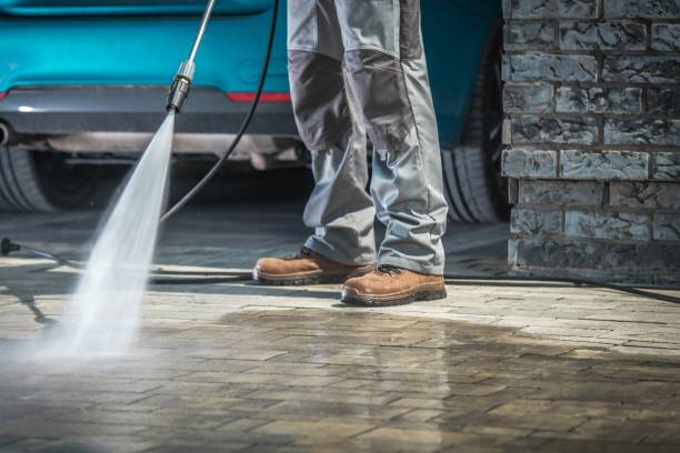 Best Building Exterior Washing  in De Witt, NY