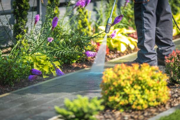 Best Restaurant Pressure Washing  in De Witt, NY