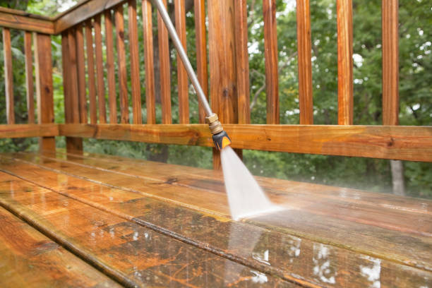 Best Fence Cleaning  in De Witt, NY